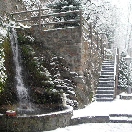 Hotel Sant Antoni Ribes De Freser Zewnętrze zdjęcie
